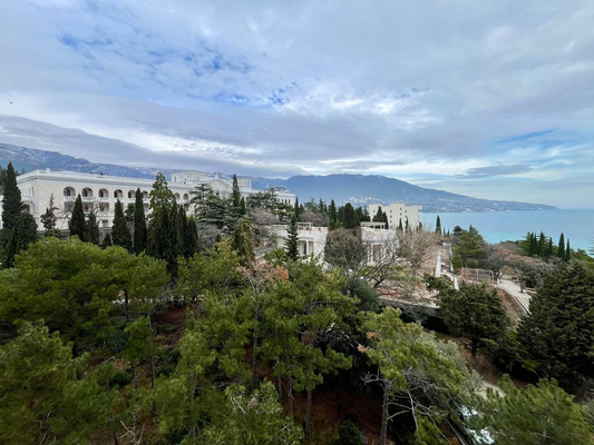 Продам однокомнатную (1-комн.) квартиру, Виноградная ул, 101с1, Ливадия пгт