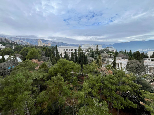 Продам однокомнатную (1-комн.) квартиру, Виноградная ул, 101с1, Ливадия пгт