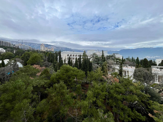 Продам однокомнатную (1-комн.) квартиру, Виноградная ул, 101с1, Ливадия пгт