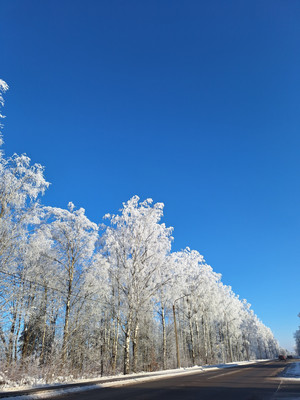 Продам двухкомнатную (2-комн.) квартиру, Тенистая ул, 11к1, Юкки д