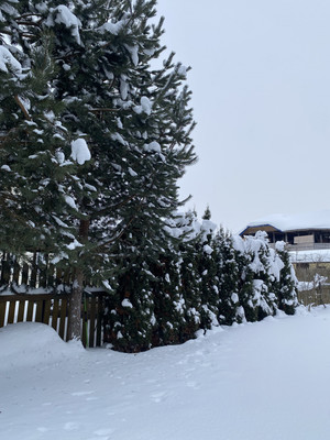 Продам дачу, квартал Дмитровский тер, 0 км от города