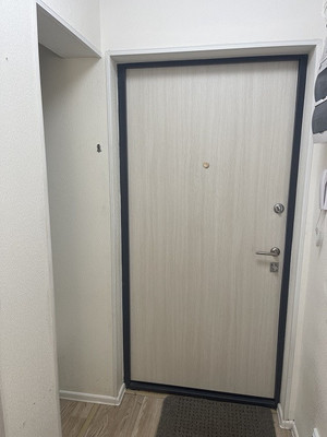 Продам однокомнатную (1-комн.) квартиру, Муринская дор, 25к3, Санкт-Петербург г