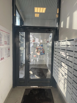 Продам однокомнатную (1-комн.) квартиру, Муринская дор, 25к3, Санкт-Петербург г