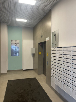 Продам однокомнатную (1-комн.) квартиру, Муринская дор, 25к3, Санкт-Петербург г