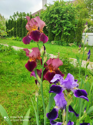 Продам дом, Твардовского ул, 15, Гвардейск г, 0 км от города