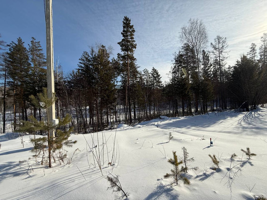 Продам участок 14 соток, ИЖС, Мостовая (Еловый мкр.) ул, Новолисиха д, 0 км от города