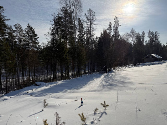 Продам участок 14 соток, ИЖС, Мостовая (Еловый мкр.) ул, Новолисиха д, 0 км от города