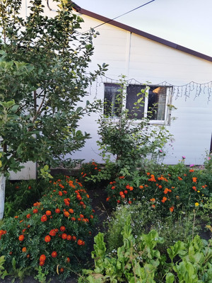 Продам дом, Шумная (Палати тер. СНТ) ул, 250, Дрокино с, 0 км от города