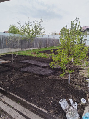 Продам дом, Шумная (Палати тер. СНТ) ул, 250, Дрокино с, 0 км от города