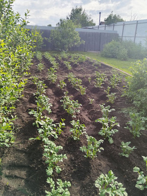 Продам дом, Шумная (Палати тер. СНТ) ул, 250, Дрокино с, 0 км от города