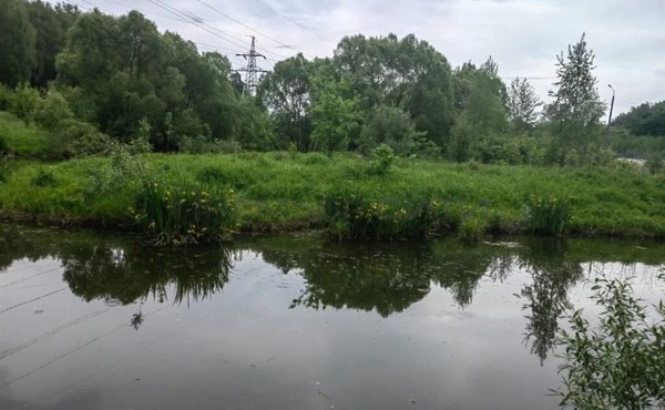 Продам дом, Феникс тер. СНТ, Еловка д, 10 км от города