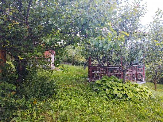 Продам коттедж, Лесная ул, 24, Мрия тер. СНТ, 0 км от города