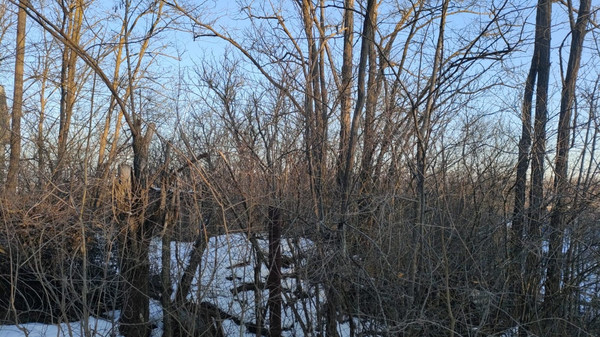 Продам участок 6,37 соток, Фермерское хоз., Мокрый Чалтырь х, 0 км от города