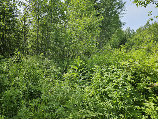 Продам участок 7,5 соток, Фермерское хоз., 129, Тюли с, 0 км от города