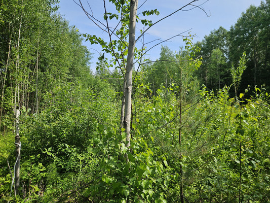 Продам участок 7,5 соток, Фермерское хоз., 129, Тюли с, 0 км от города