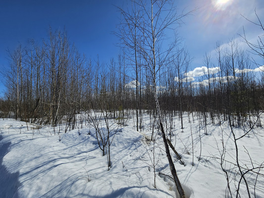 Продам участок 10 соток, Фермерское хоз., СОТ Водоканал тер, 0 км от города