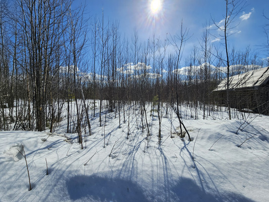 Продам участок 10 соток, Фермерское хоз., СОТ Водоканал тер, 0 км от города