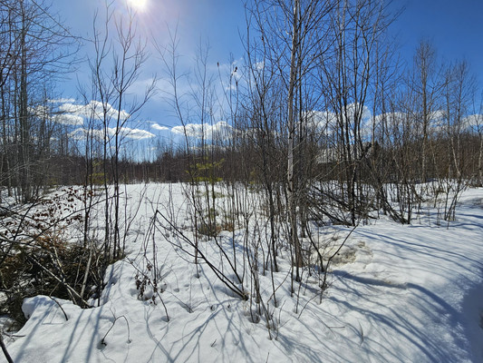 Продам участок 10 соток, Фермерское хоз., СОТ Водоканал тер, 0 км от города