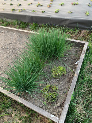 Продам дачу, Лесная ул, 39, Хурба с, 0 км от города