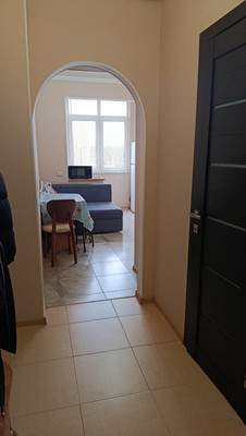 Продам однокомнатную (1-комн.) квартиру, Парковая ул, 64ак7, Анапа г