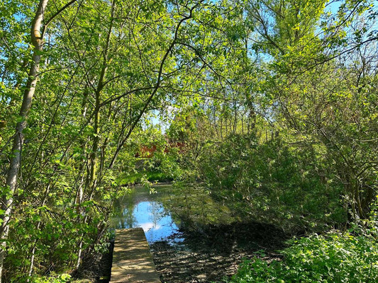 Продам дом, Загородная ул, Чехов г, 0 км от города