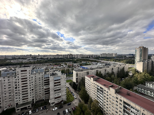 Продам двухкомнатную (2-комн.) квартиру, Хасанская ул, 10к2, Санкт-Петербург г