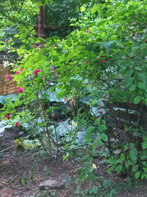 Продам дом, 3-й Холмистый пер, Ростов-на-Дону г, 0 км от города