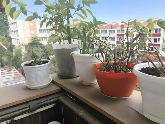 Продам двухкомнатную (2-комн.) квартиру, Гагарина (Центральный р-н) ул, 54, Сочи г