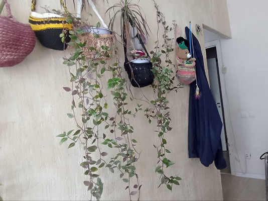 Продам однокомнатную (1-комн.) квартиру, Пригородное (Пригород Лесное мкр.) ш, 9, Мисайлово д