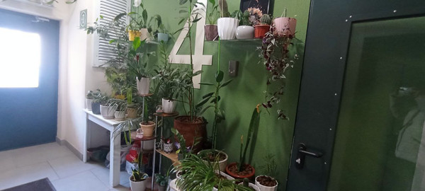 Продам однокомнатную (1-комн.) квартиру, Пригородное (Пригород Лесное мкр.) ш, 9, Мисайлово д