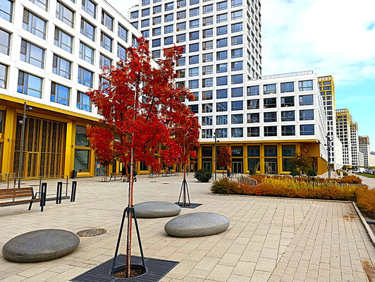 Продам однокомнатную (1-комн.) квартиру, Челюскина ул, 8к1, Санкт-Петербург г