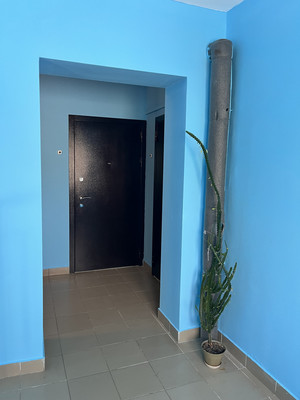 Продам двухкомнатную (2-комн.) квартиру, Полётная ул, 9, Новинки сп.