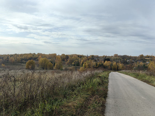 Продам землю для коммерческого использования 87,59 соток, Центральная ул, Дьяково с