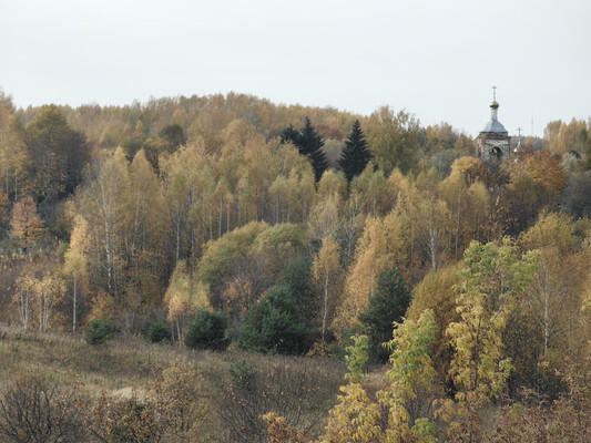 Продам землю для коммерческого использования 87,59 соток, Центральная ул, Дьяково с