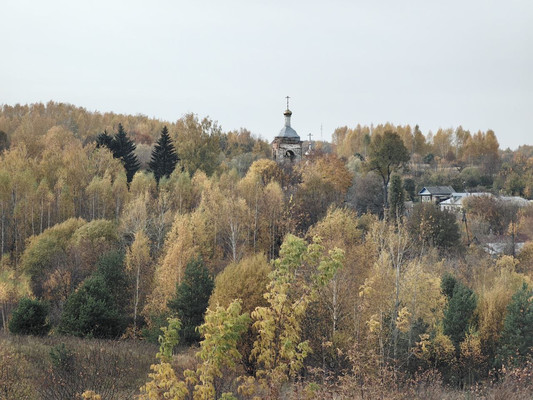 Продам землю для коммерческого использования 87,59 соток, Центральная ул, Дьяково с