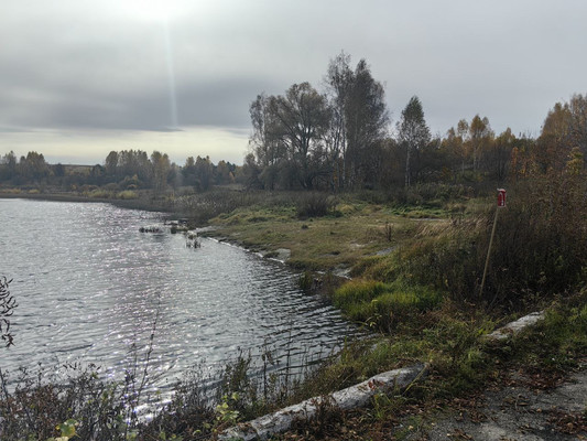 Продам землю для коммерческого использования 87,59 соток, Центральная ул, Дьяково с