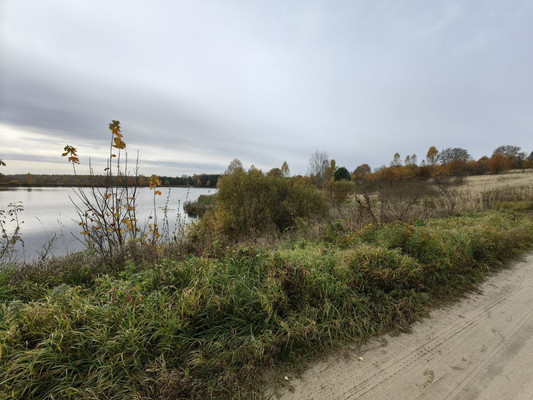 Продам землю для коммерческого использования 87,59 соток, Центральная ул, Дьяково с