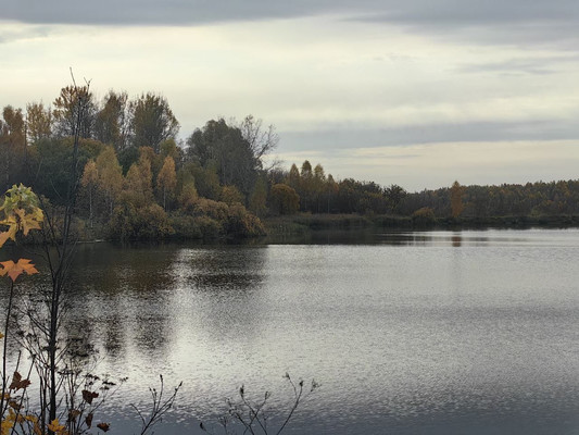 Продам землю для коммерческого использования 83,1 соток, Заводская ул, Нершево с