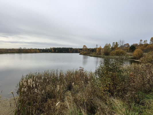 Продам землю для коммерческого использования 83,1 соток, Заводская ул, Нершево с