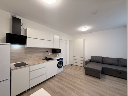 Сдам однокомнатную (1-комн.) квартиру, Чарушинская ул, 32, Санкт-Петербург г