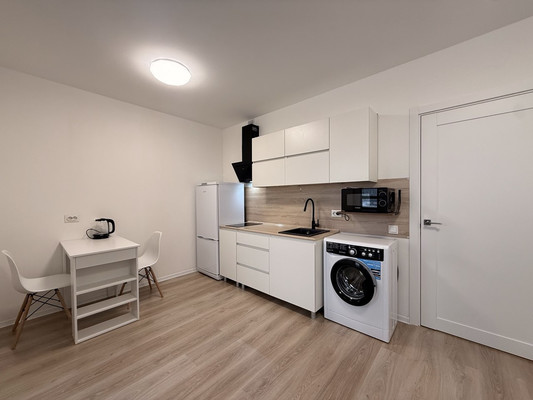 Сдам однокомнатную (1-комн.) квартиру, Чарушинская ул, 32, Санкт-Петербург г