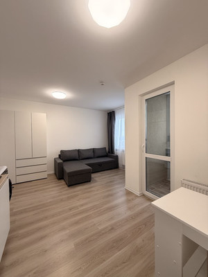 Сдам однокомнатную (1-комн.) квартиру, Чарушинская ул, 32, Санкт-Петербург г