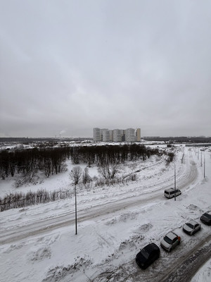Сдам однокомнатную (1-комн.) квартиру, Чарушинская ул, 32, Санкт-Петербург г