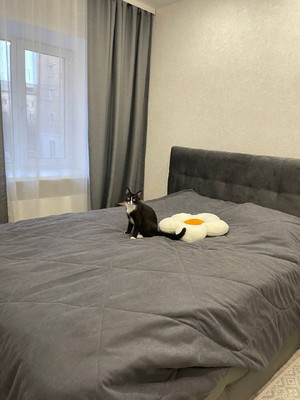 Продам двухкомнатную (2-комн.) квартиру, Ленина/Парижской Коммуны ул, 29/30, Красноярск г