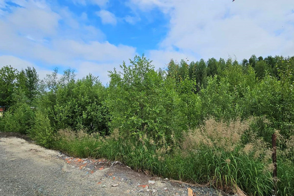 Продам участок 10 соток, Фермерское хоз., СОТ Геофизик - 2 (18км автодороги Х-М-Т снт, Ханты-Мансийск г, 0 км от города