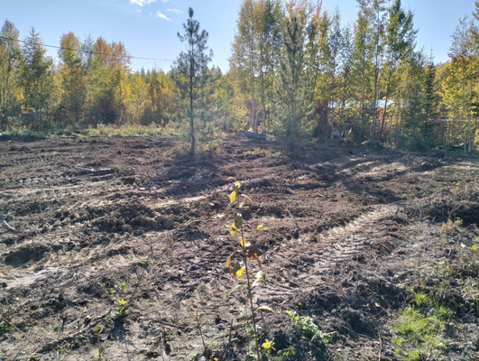 Продам участок 6,2 соток, Фермерское хоз., СОТ Светлана снт, Ханты-Мансийск г, 0 км от города