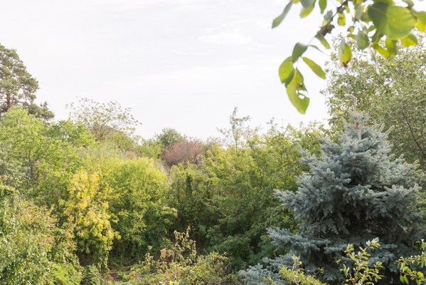 Продам дом, Таллинский пер, 10, Ростов-на-Дону г, 0 км от города