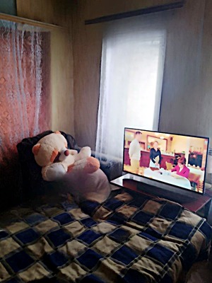 Продам дом, Максима Горького ул, 97, Ишим г, 0 км от города