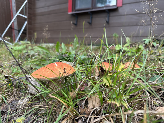 Продам дом, Симагино п, 0 км от города