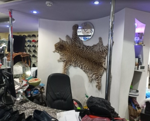 Продам торговое помещение 157,4 м2, Красной Армии ул, 20Б, Иваново г